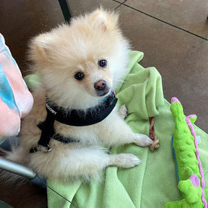 Meet your Posher, Marcus